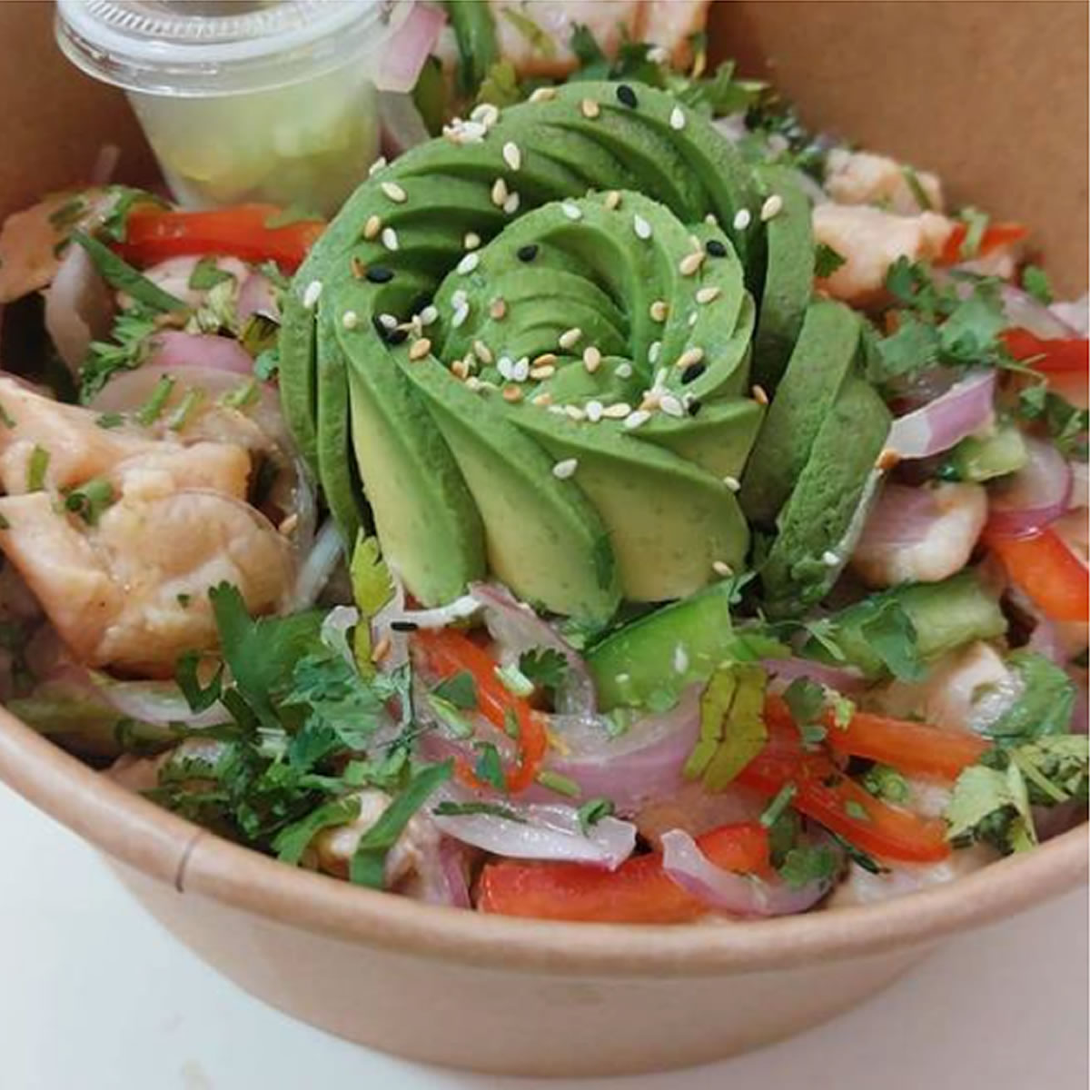 Ceviche Salmon-Palta 500gr